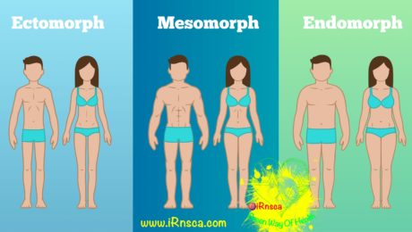 body type + ectomorph + mesomorph + endomorph