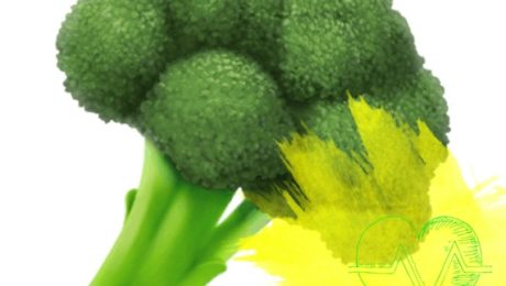 vegetables broccoli
