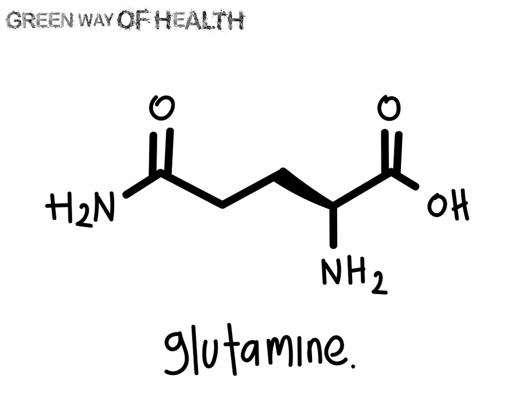Frequently Asked Questions About Glutamine Supplementation Green Way